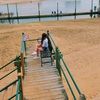 molly_lieberman